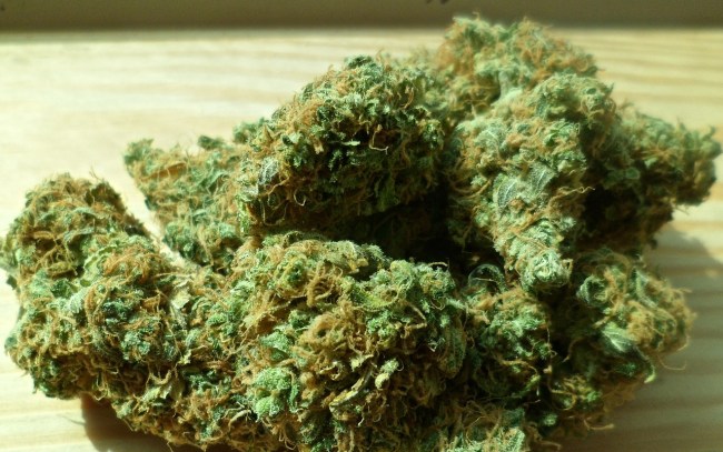 legal marijuana polls at all time high