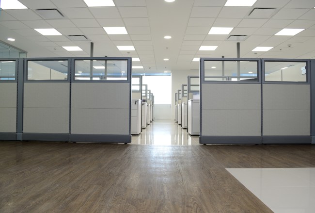empty cubicles