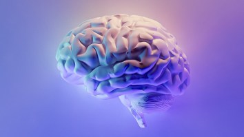 10 ‘Facts’ Everyone Believes Are True But Are Actually Lies