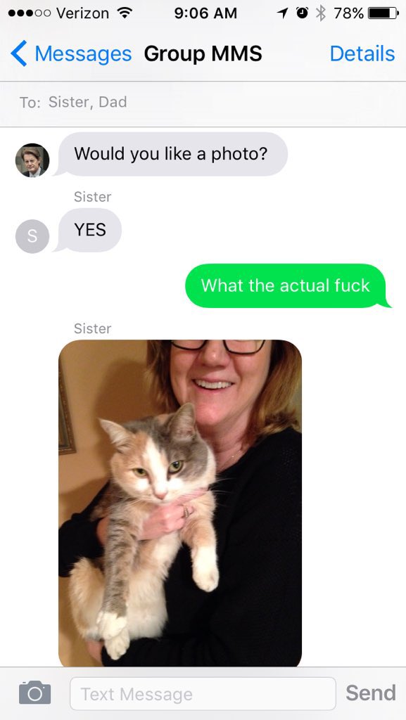 Family lost cat burial rabbit story