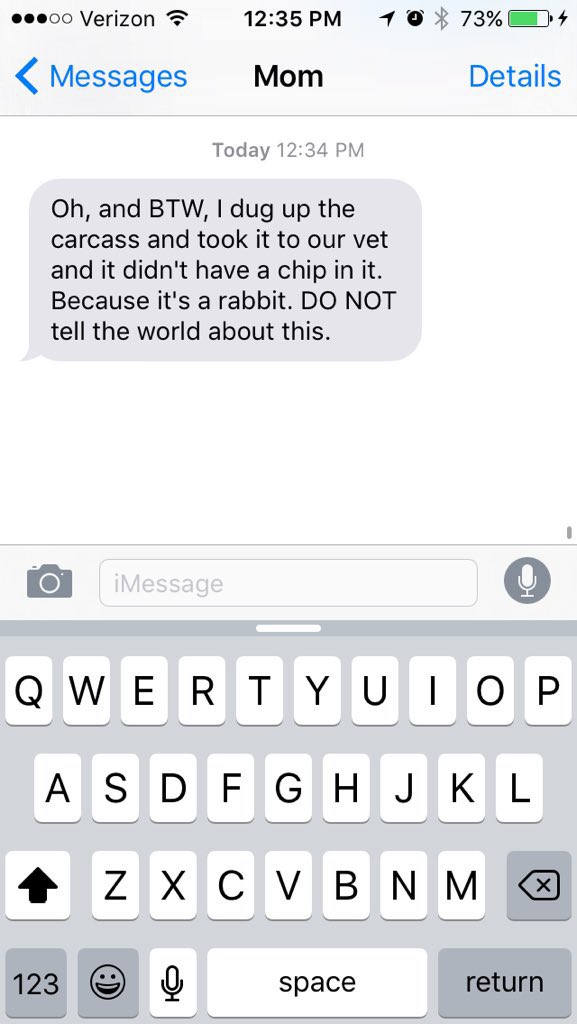 Family lost cat burial rabbit story