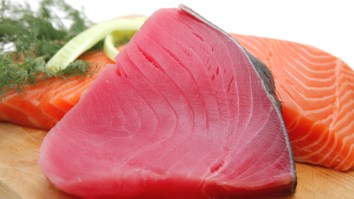 The 25 Best Tasting Fish In The World, A Very Unscientific Ranking