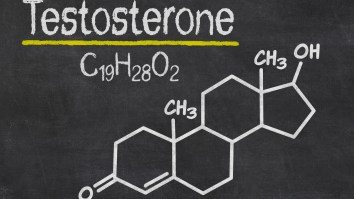 This Is Why Testosterone Is The Most Important Hormone For Bros, In Life And In The Bedroom