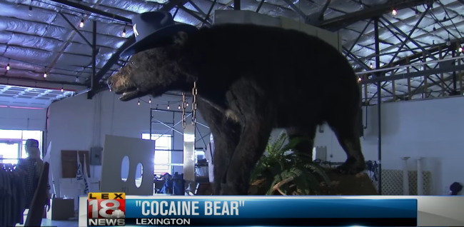 Cocaine Bear