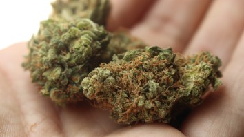 Scientists Might’ve Just Discovered Another Benefit Of Marijuana, One That Benefits In Hunting And Fishing