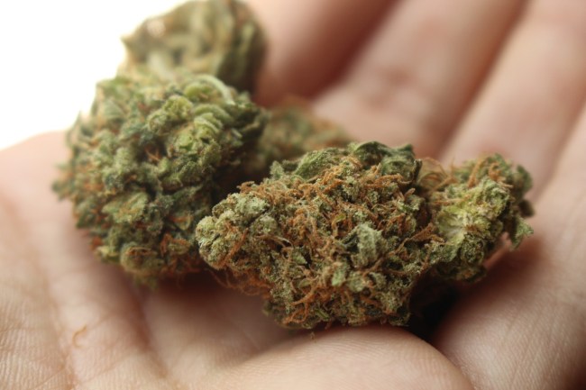 marijuana night vision benefits