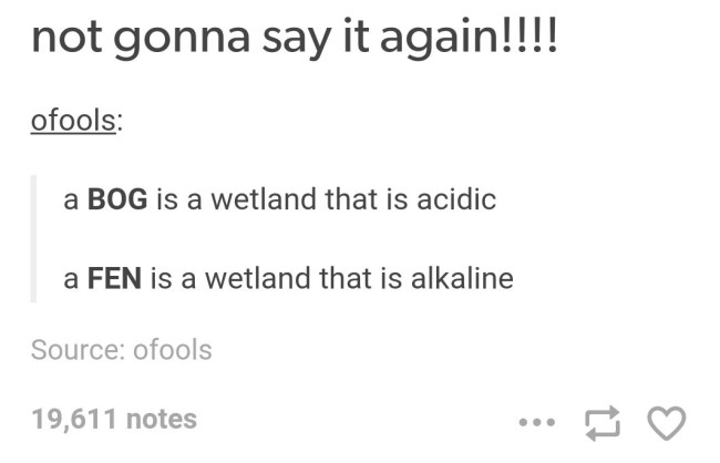 best of tumblr
