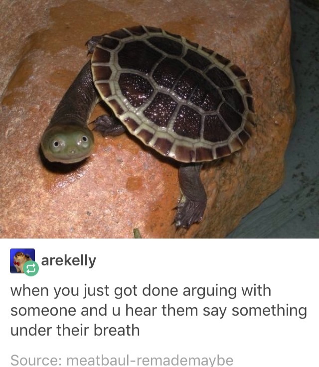 best of tumblr