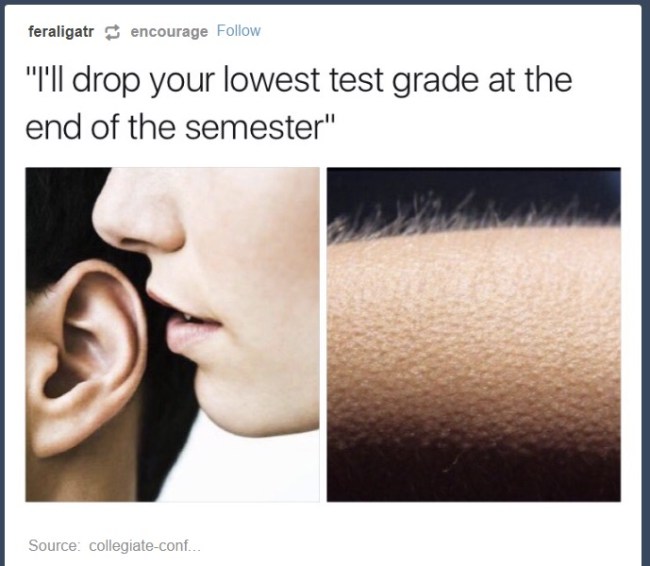 best of tumblr