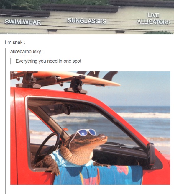 best of tumblr