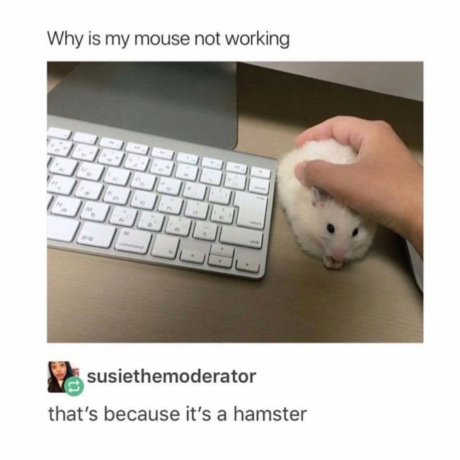 best of tumblr
