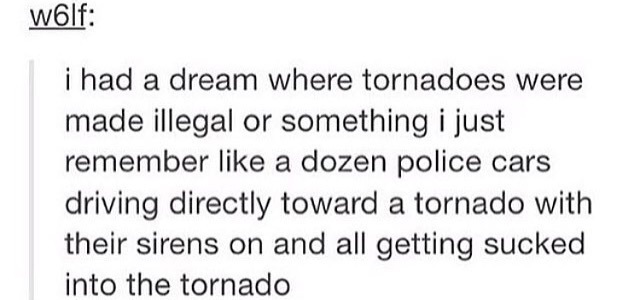 best of tumblr
