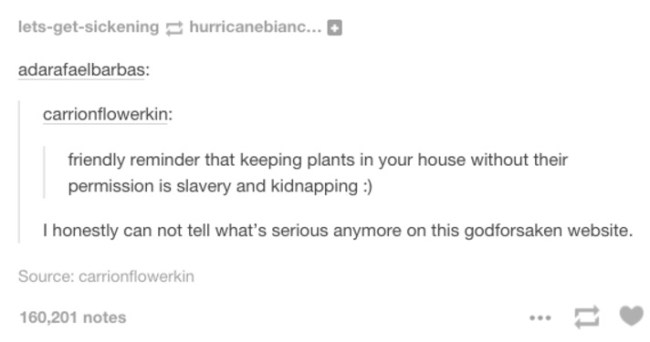 best of tumblr