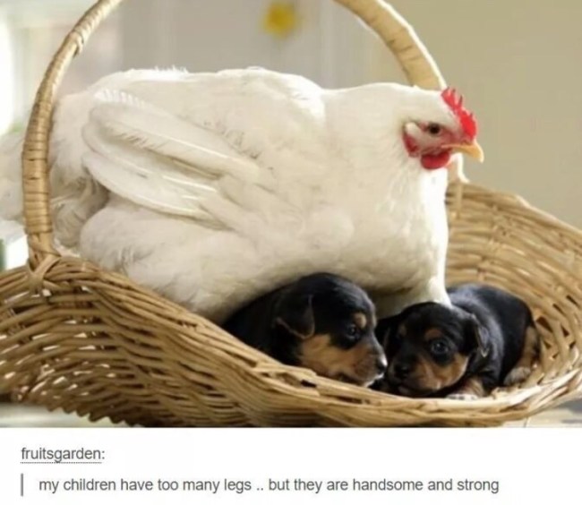 best of tumblr