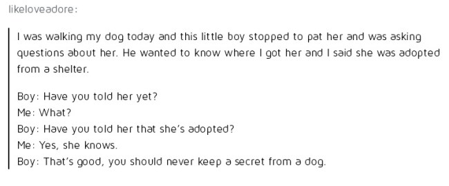 best of tumblr