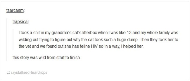 best of tumblr