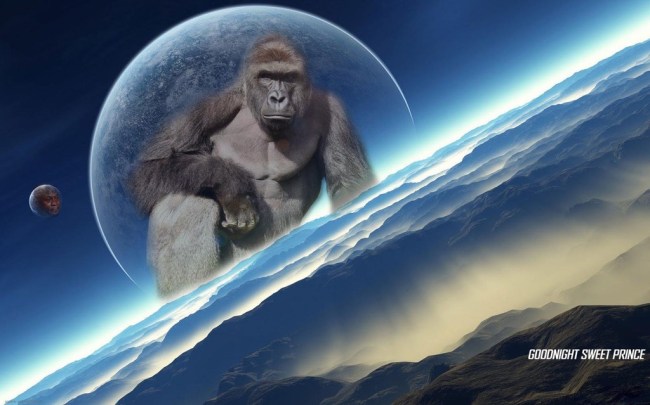 harambe-meme-pic