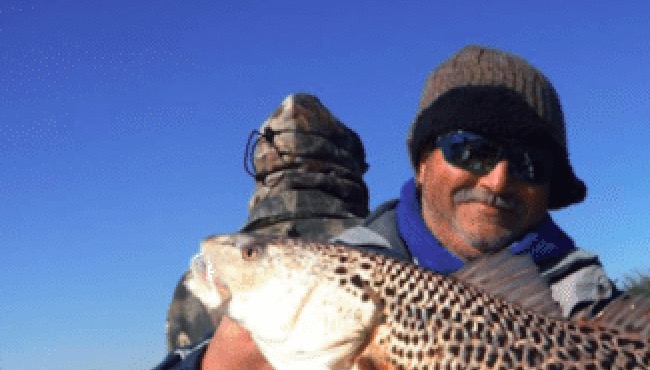 leopard redfish extremely rare Louisiana