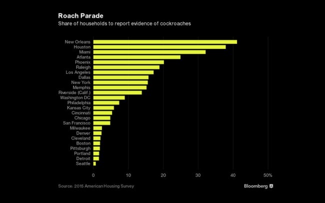 most cockroach infested cities America 2016 2017