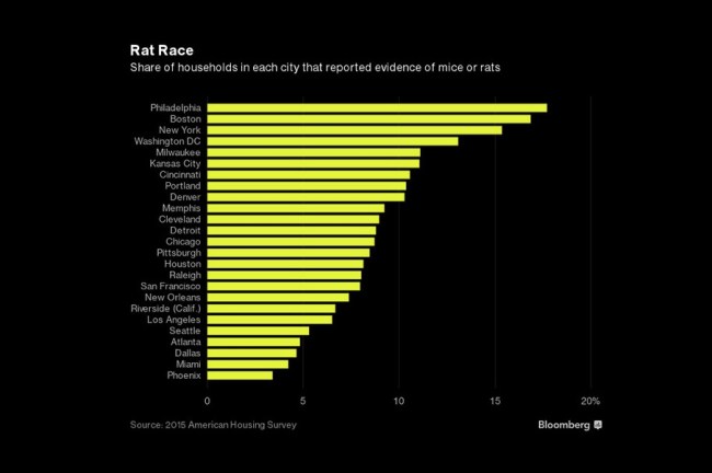 most rat infested cities America 2016 2017
