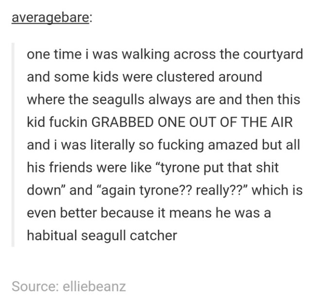 tumblr's best