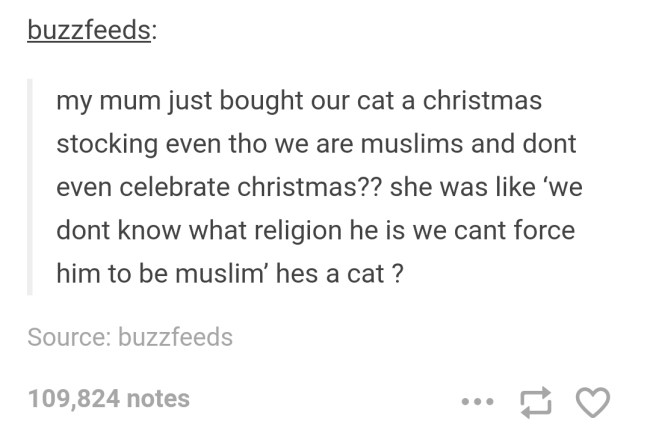 tumblr's best