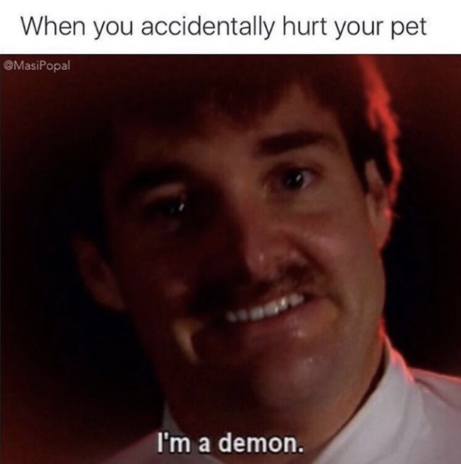 tumblr's best