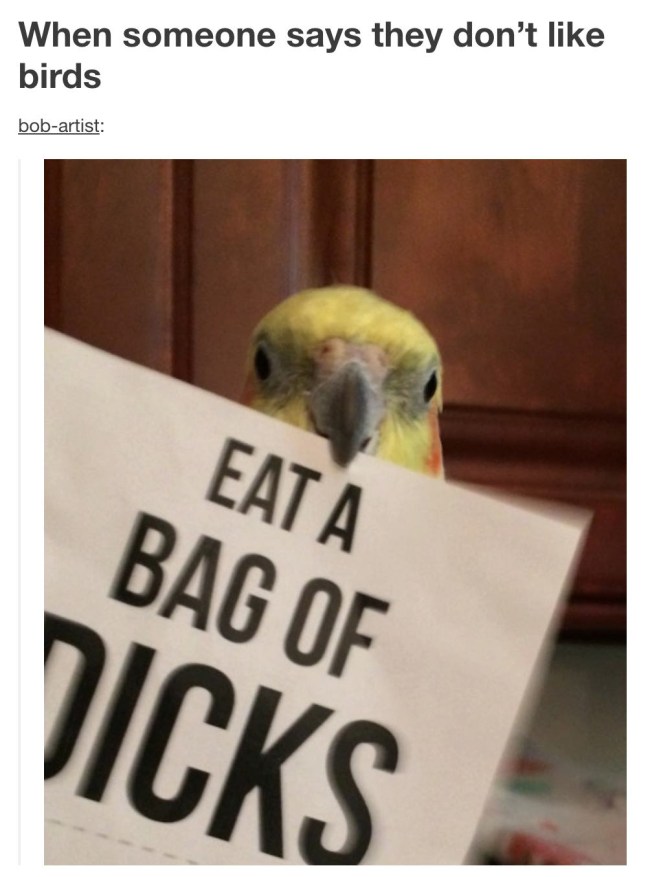 tumblr's best