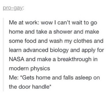 tumblr's best