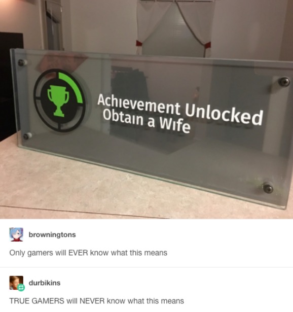 tumblr's best