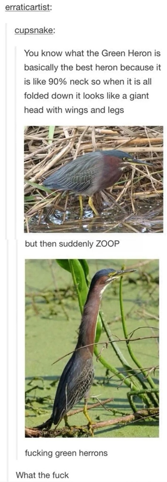 best of tumblr