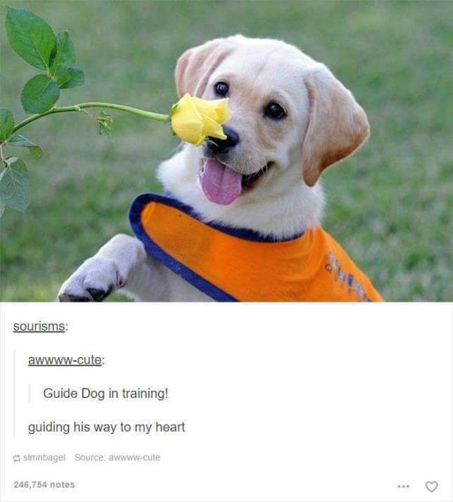 best of tumblr