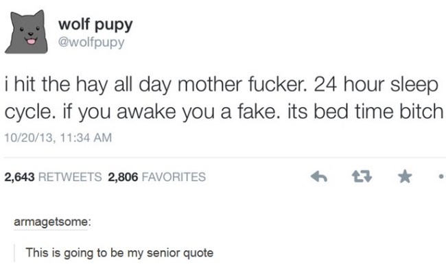 tumblr's best
