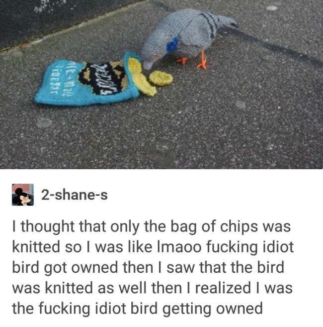 best of tumblr