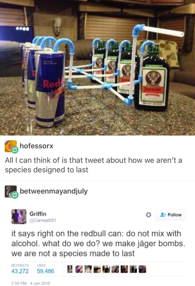 tumblr's best