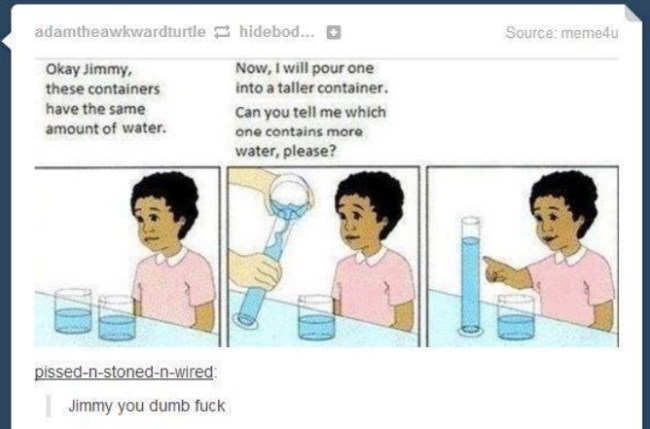 tumblr's best
