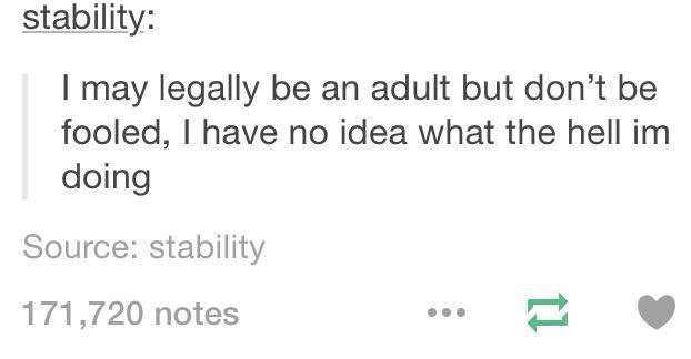 tumblr's best