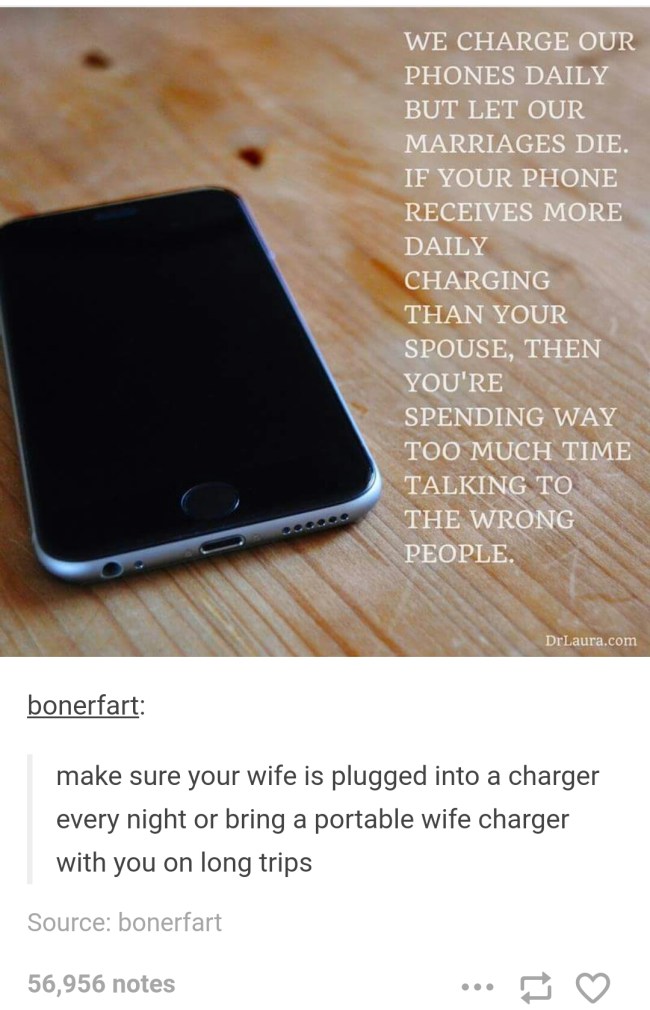 tumblr's best