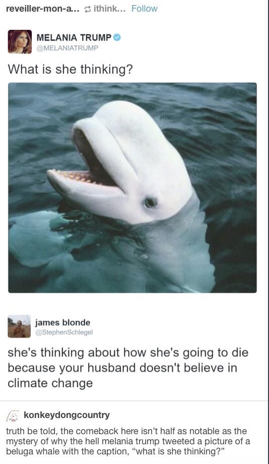 tumblr's best