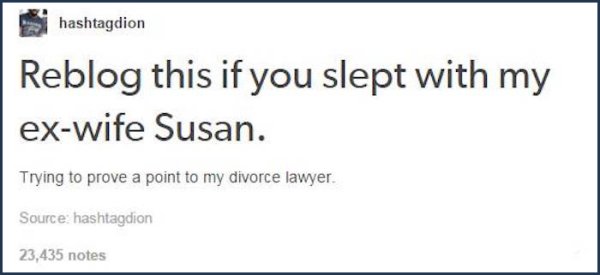 tumblr's best