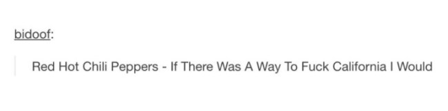 tumblr's best