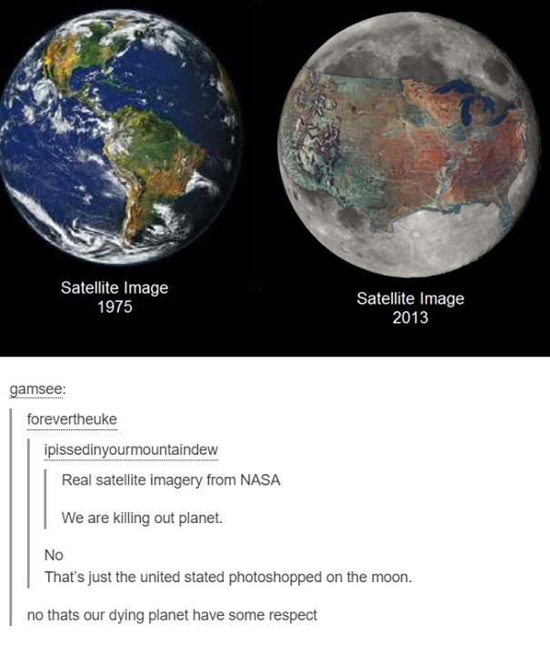 tumblr's best