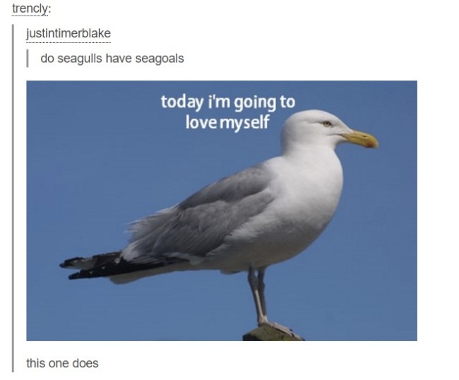 best of tumblr
