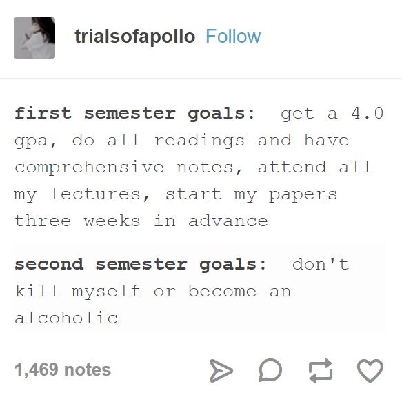 tumblr's best