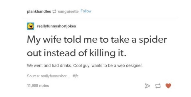 tumblr's best