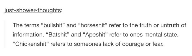 tumblr's best