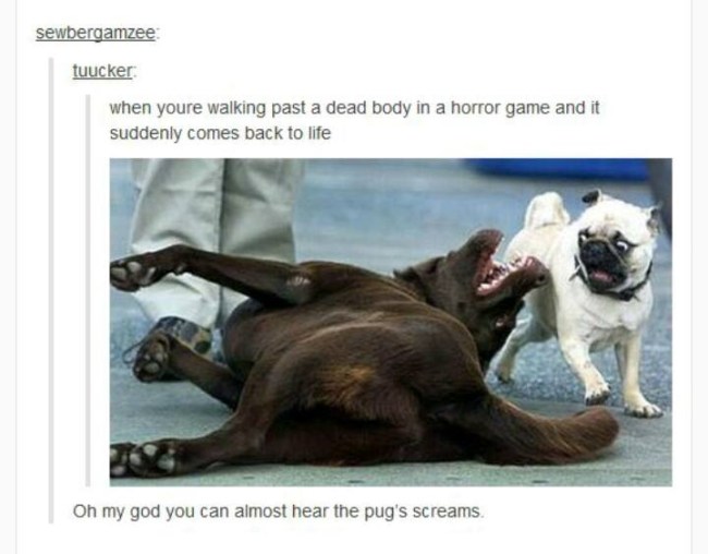 best of tumblr