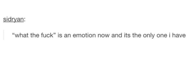 tumblr's best