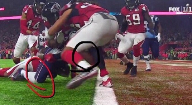falcons2