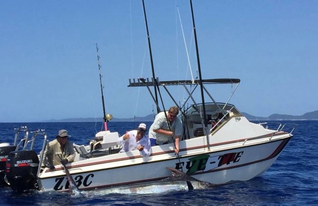 grander blue marlin fishing south africa